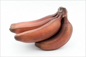 【バナナ品種・種類】モラード