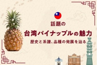 話題の台湾パイナップルの魅力 歴史と系譜、品種の発展を辿る