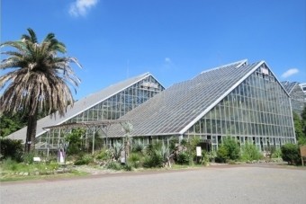 筑波実験植物園